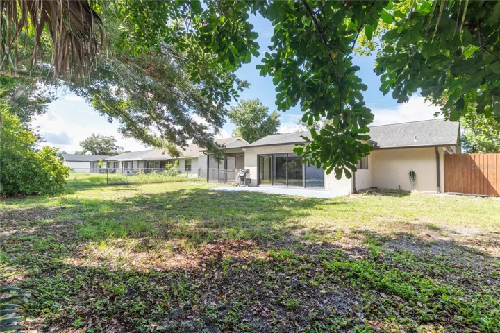 Rear Yard