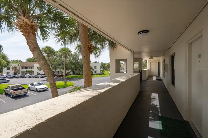 View from Front Patio