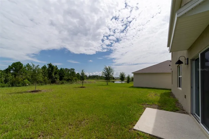 Large Backyard