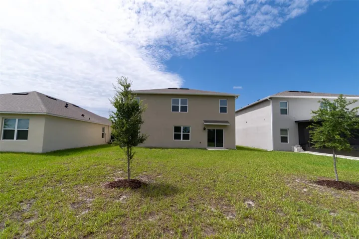 Large Backyard