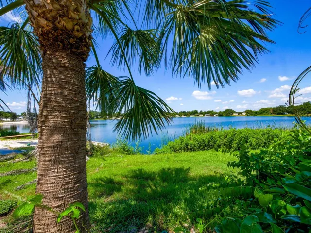 view of the lake from the backyard