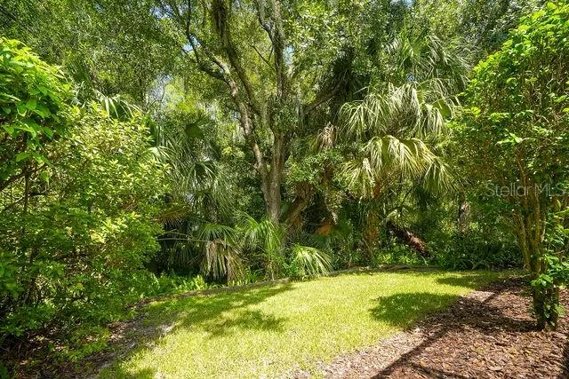 Back yard faces conservation