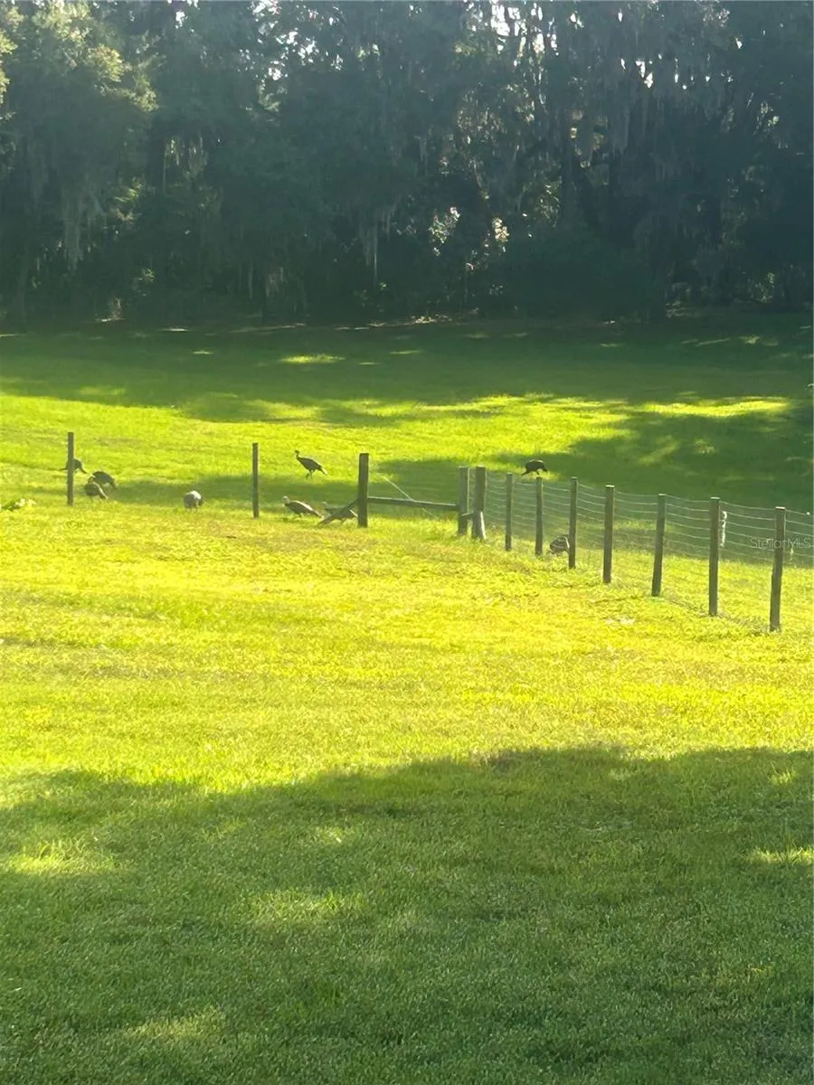 fenced back yard of house area