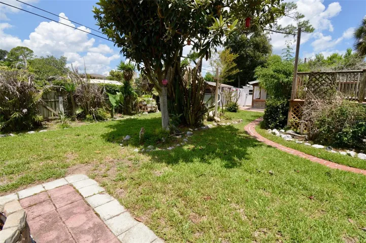 Back Yard