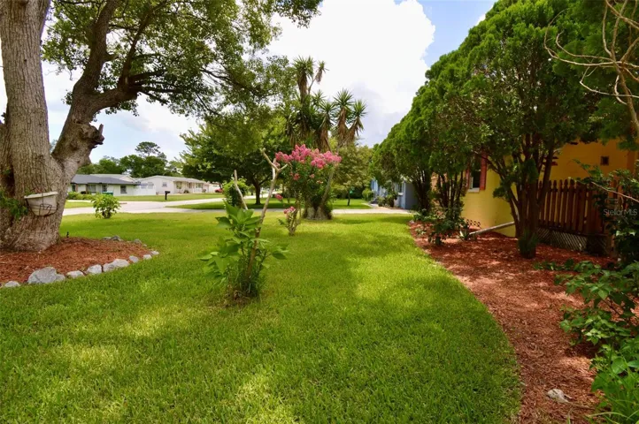Front Yard