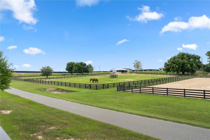 Enjoy watching the horses from your backyard