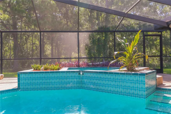 Pool and spa.