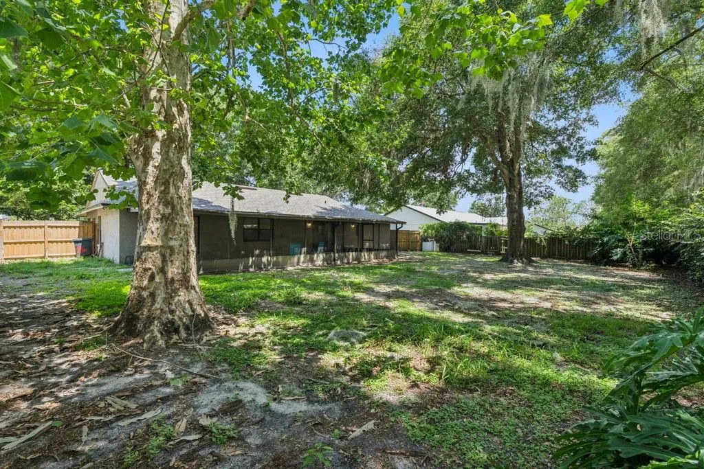 Back Yard