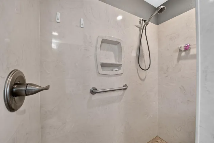 Primary en-suite's shower