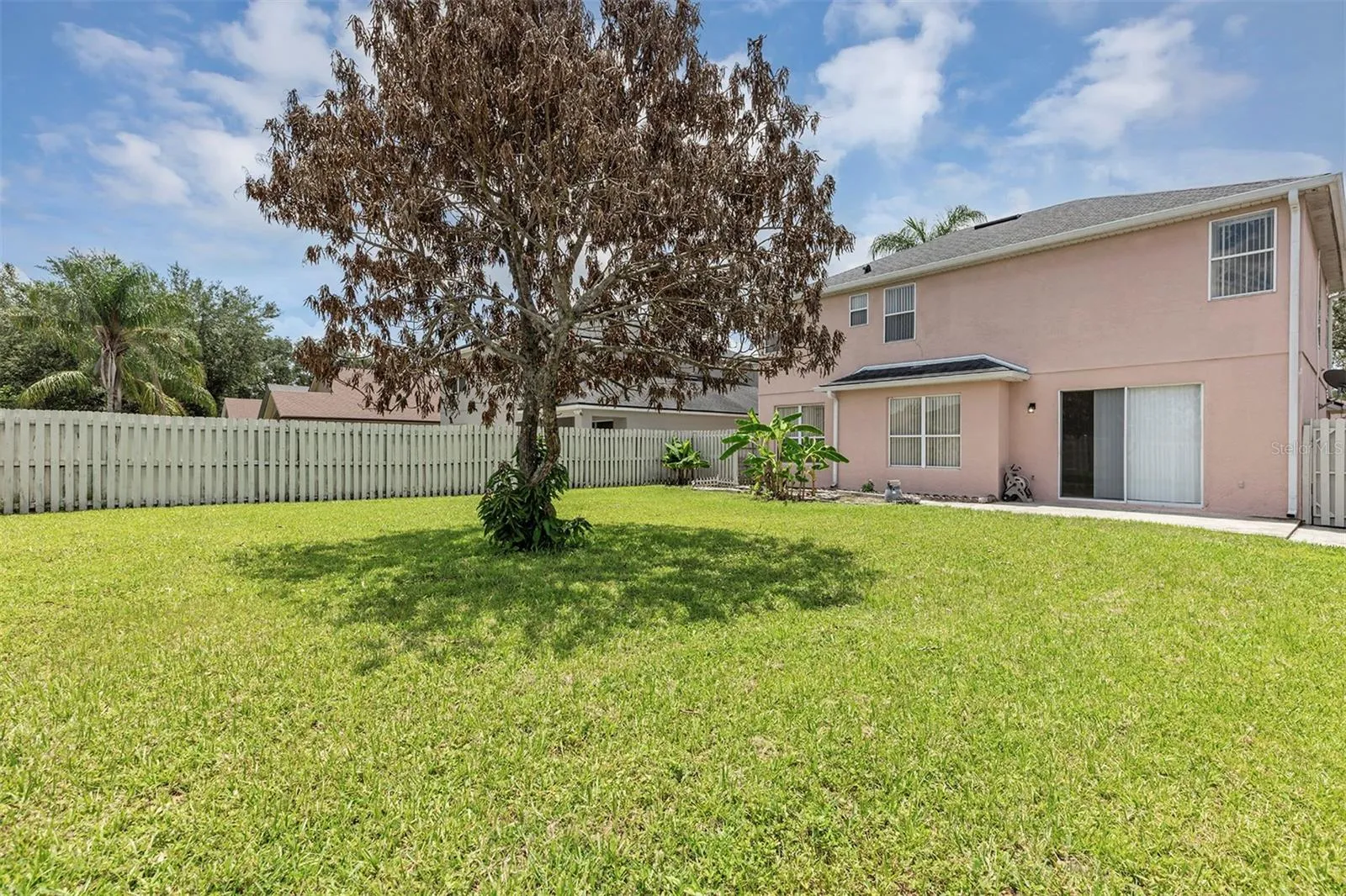 Rear of Home