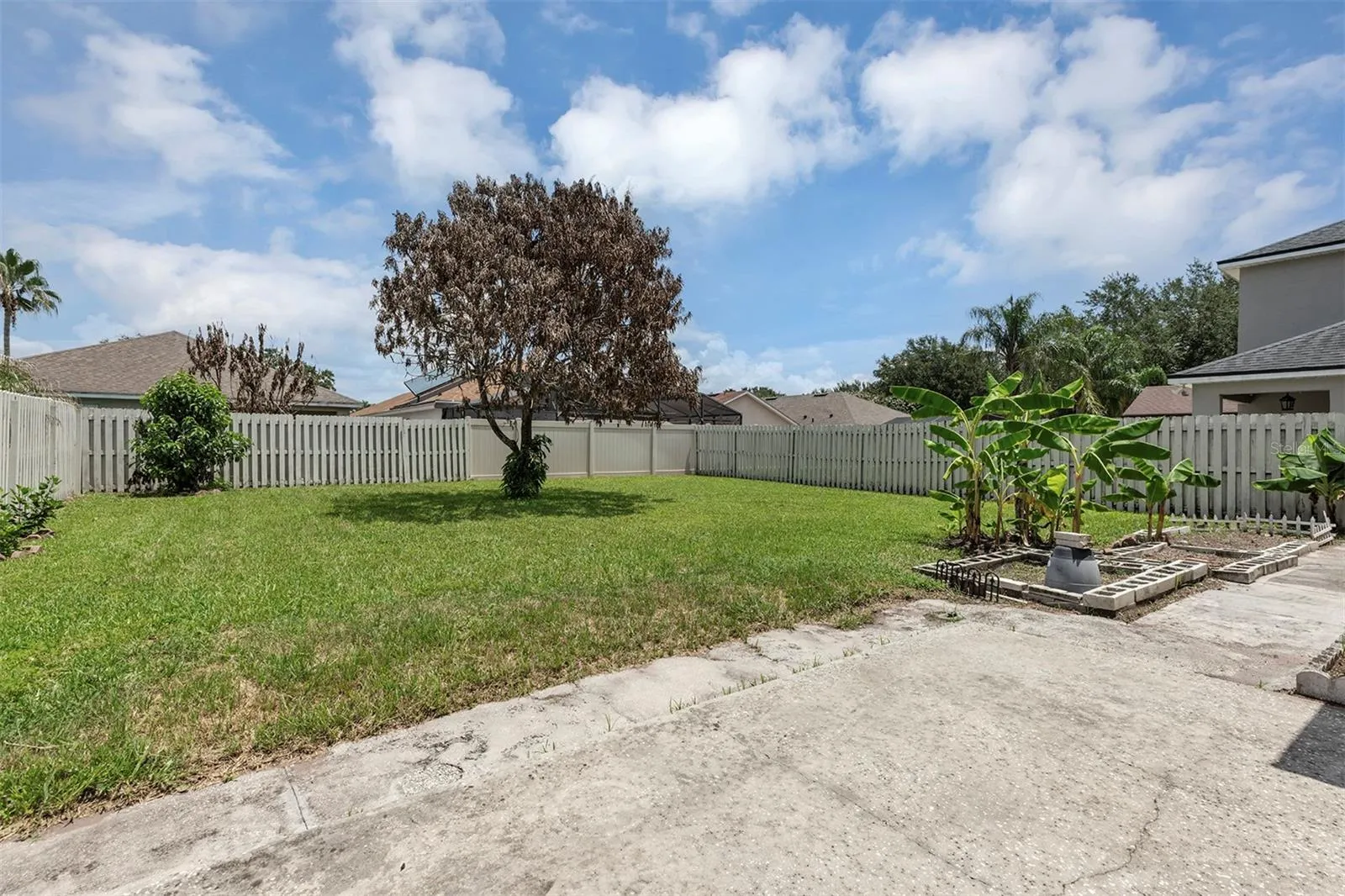 Back Yard