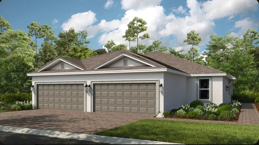 Ibis Rendering