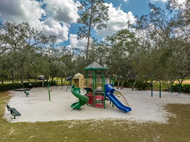 Wekiva Playground