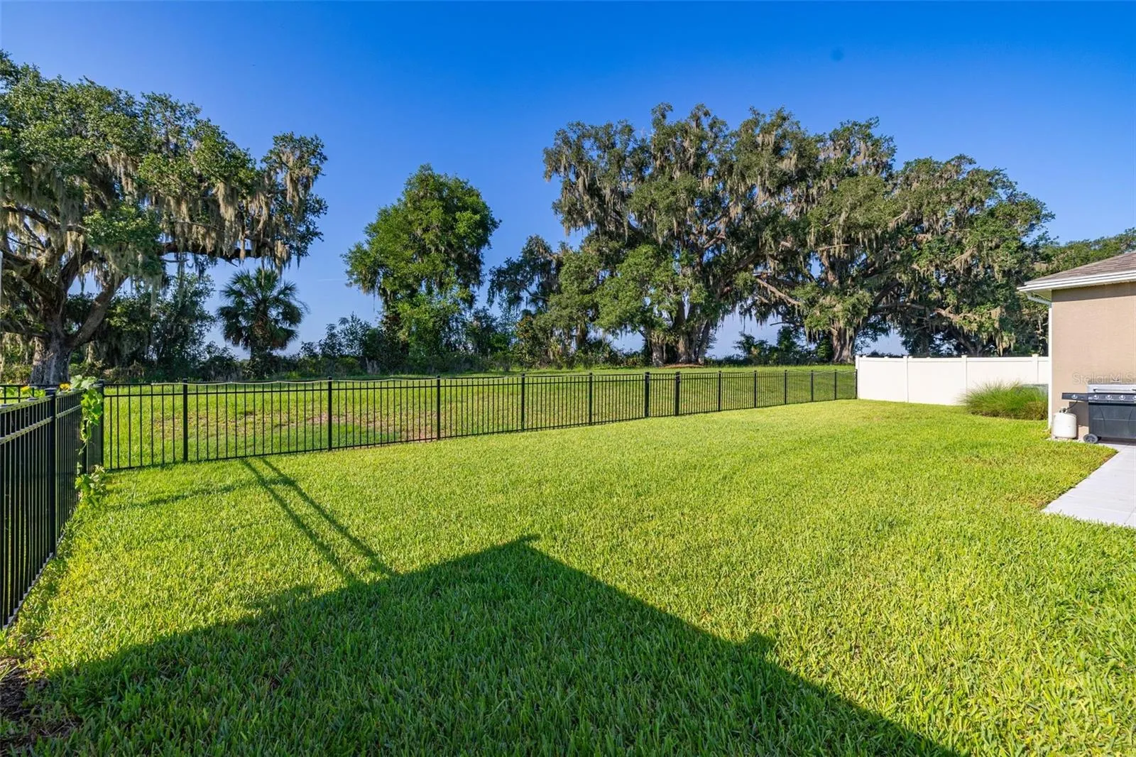 3512 Crooked River Way, Plant City, Florida 33565 — photo 51