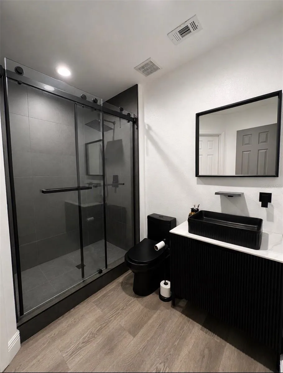 Master Bathroom view