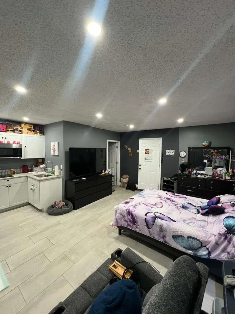 Studio / Mother in-law suite View 2