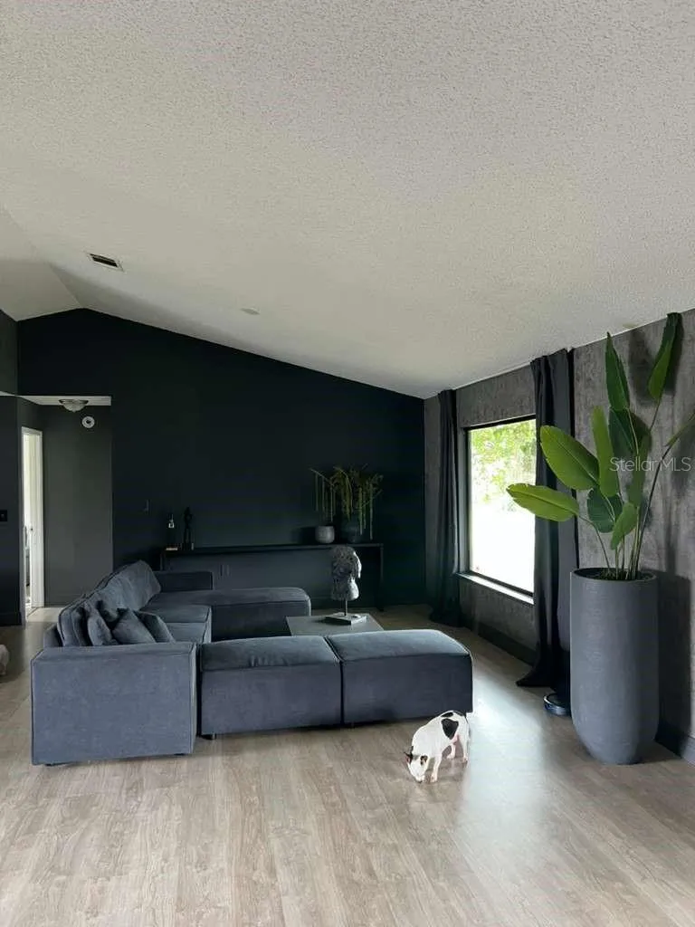 Living Room view