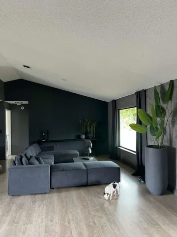Living Room view