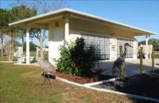Sandhill cranes near Mailbox Area