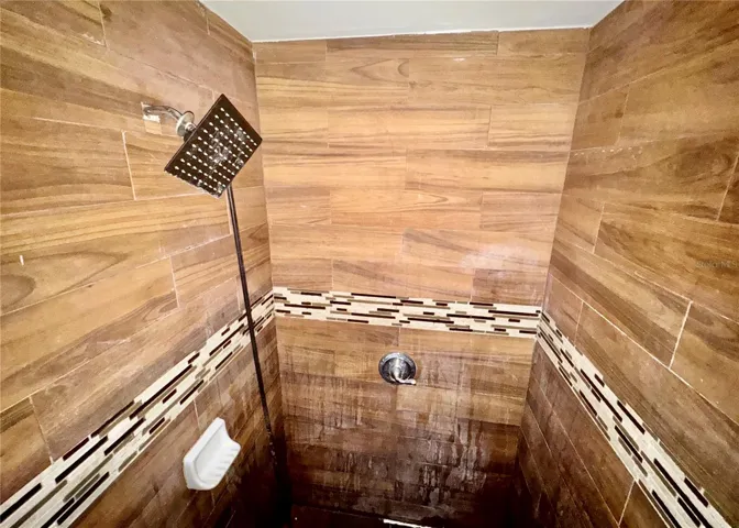 Primary Shower