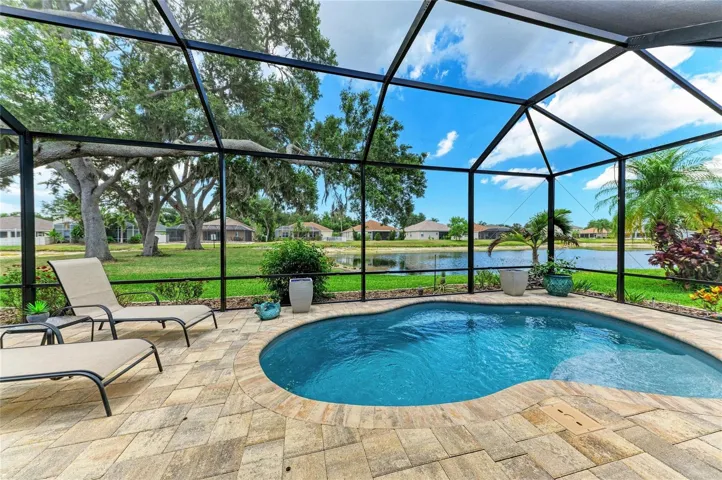 New pool & patio