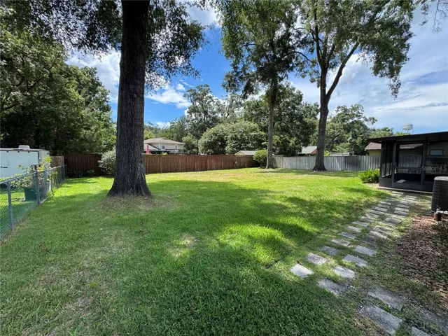 Large Backyard