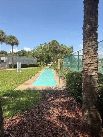 Shuffleboard