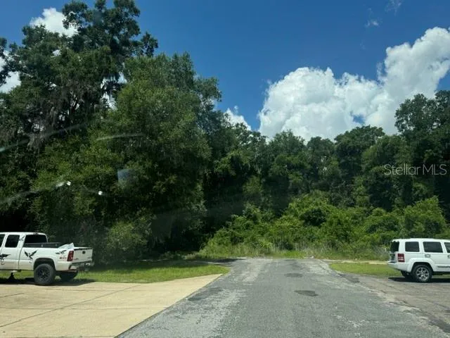 Looking West from Libra Oaks on SW 37th Lane to east border of property.