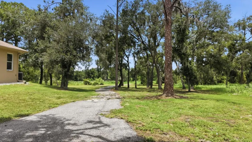 Private driveway winding through the 7-acre estate