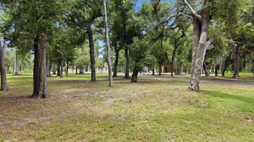 Wooded 7-acre property with mature oak trees