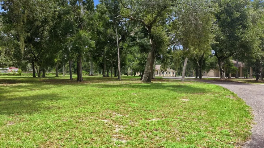 Expansive acreage with room for horses or equipment