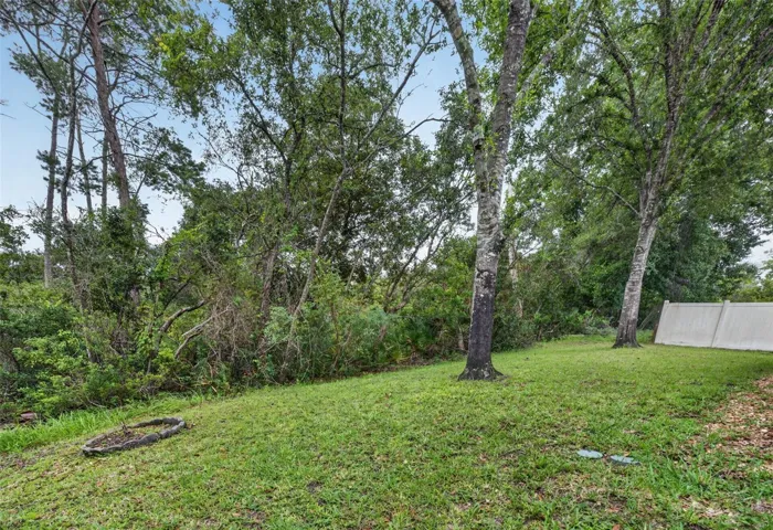 Peaceful view of the tranquil conservation area from your hot tub