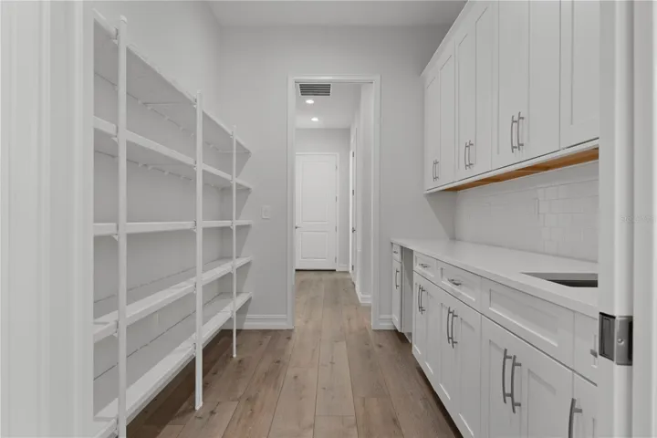 Walk through pantry