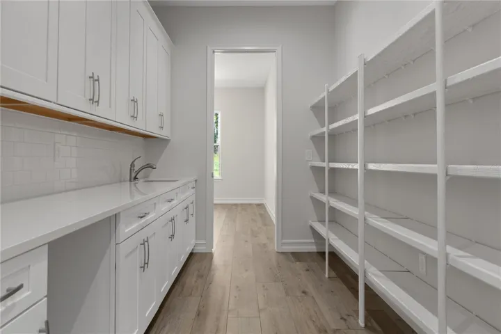 Walk through pantry