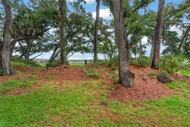 Side of Condo