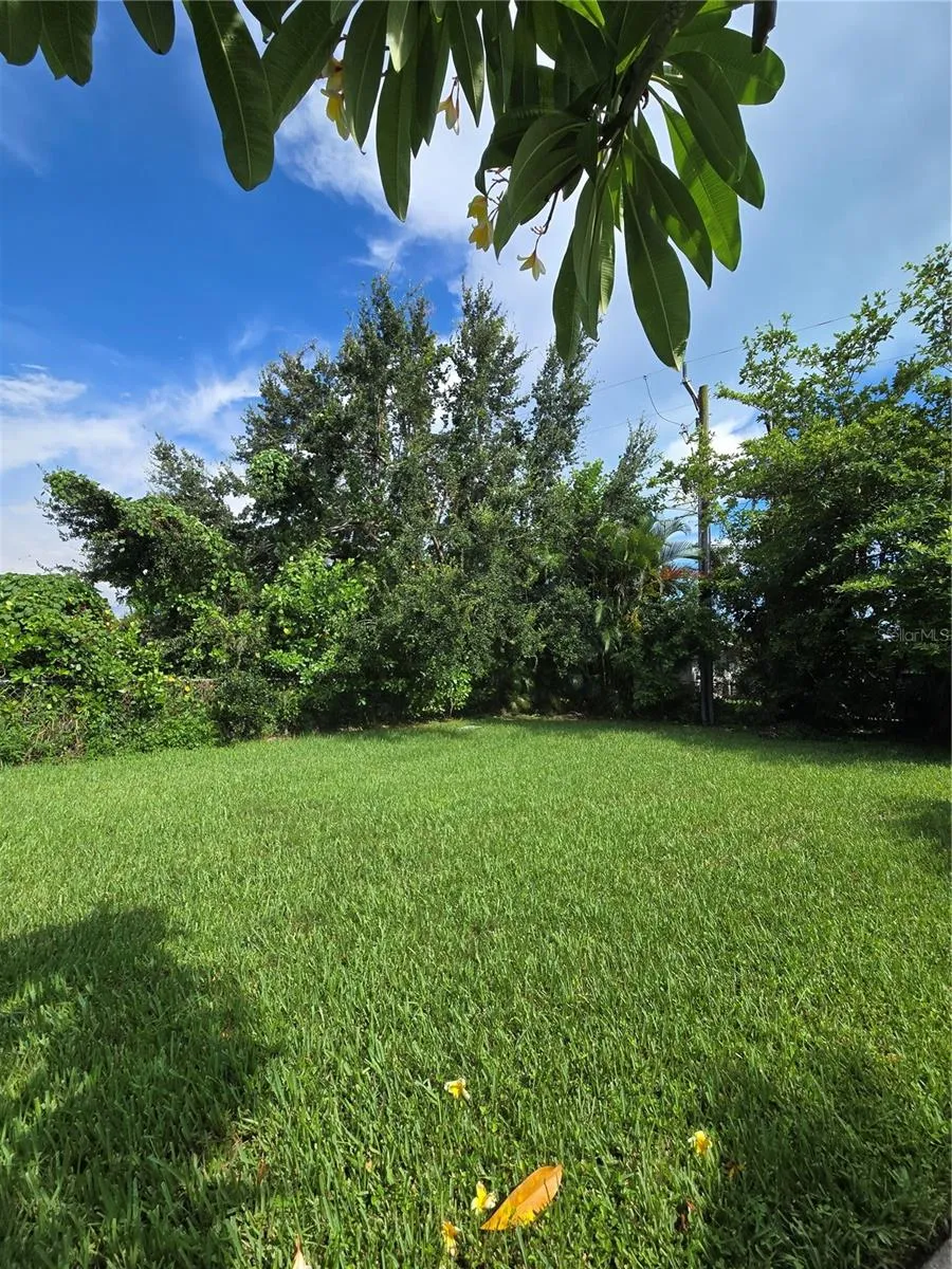 Backyard space