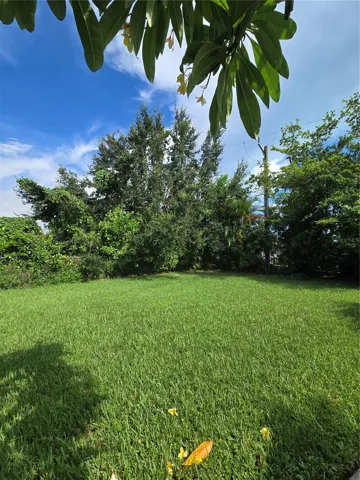 Backyard space