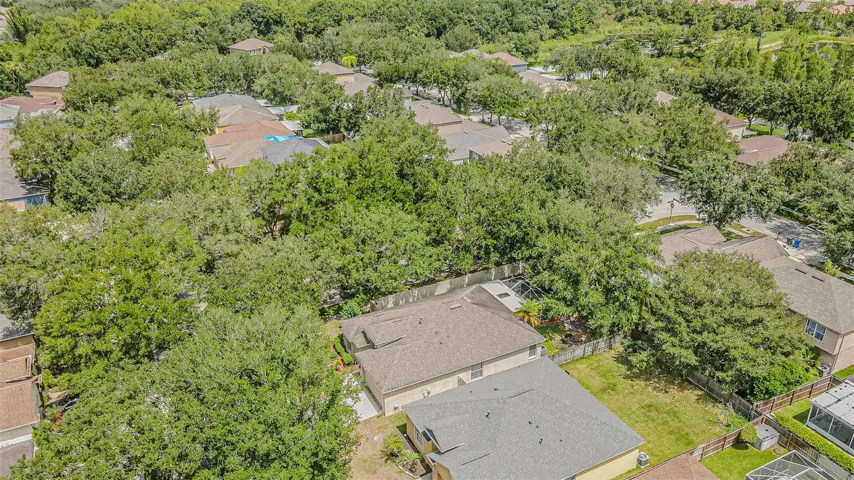 Aerial Far