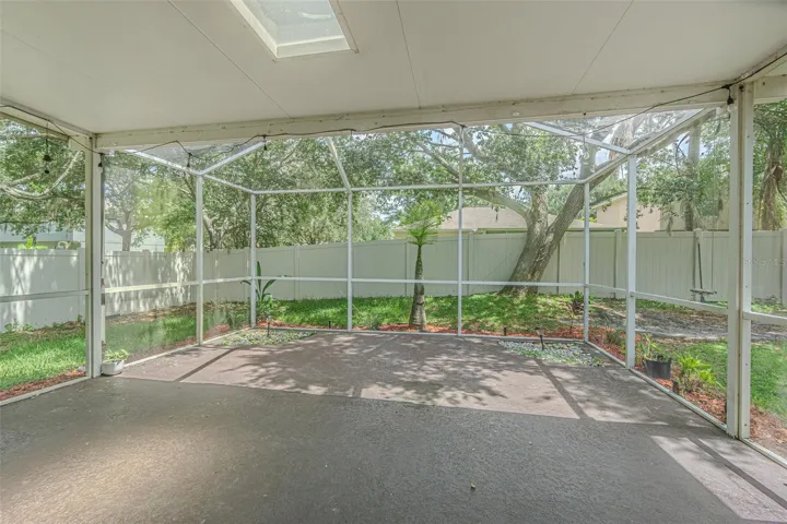 Patio and Backyard