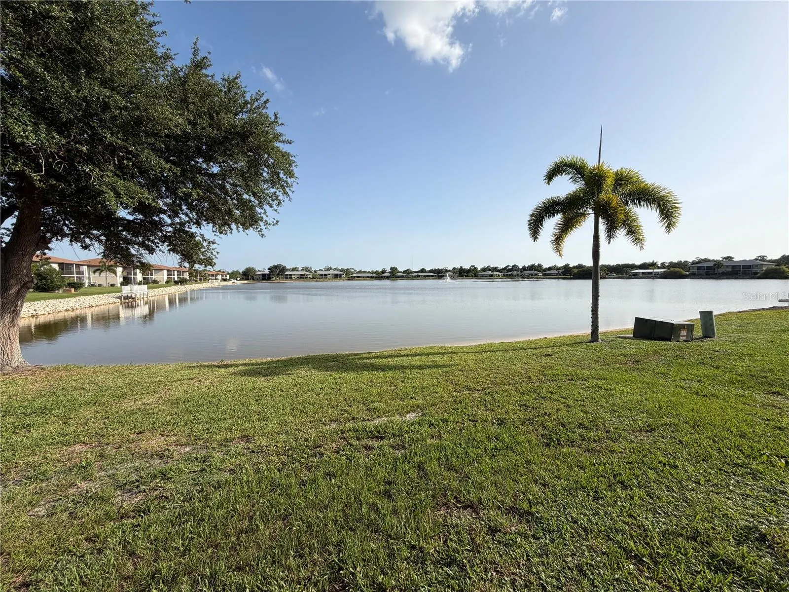 Lake Views