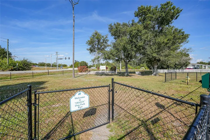 Dog Park
