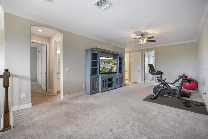 LOFT/BONUS ROOM