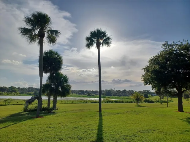 View of the lake