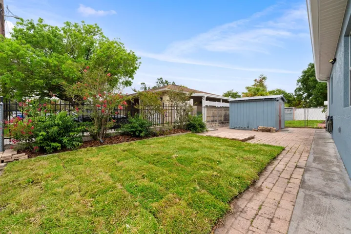 Back yard