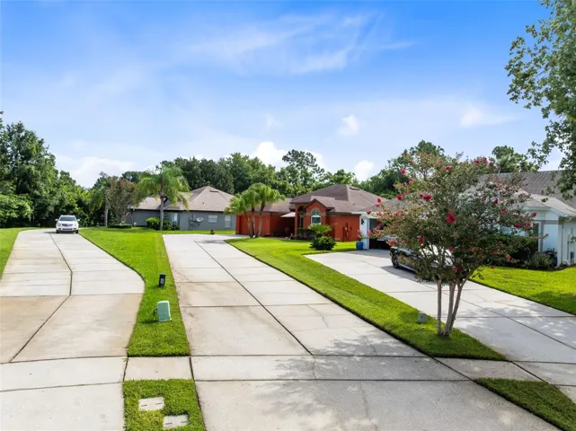 long drive way