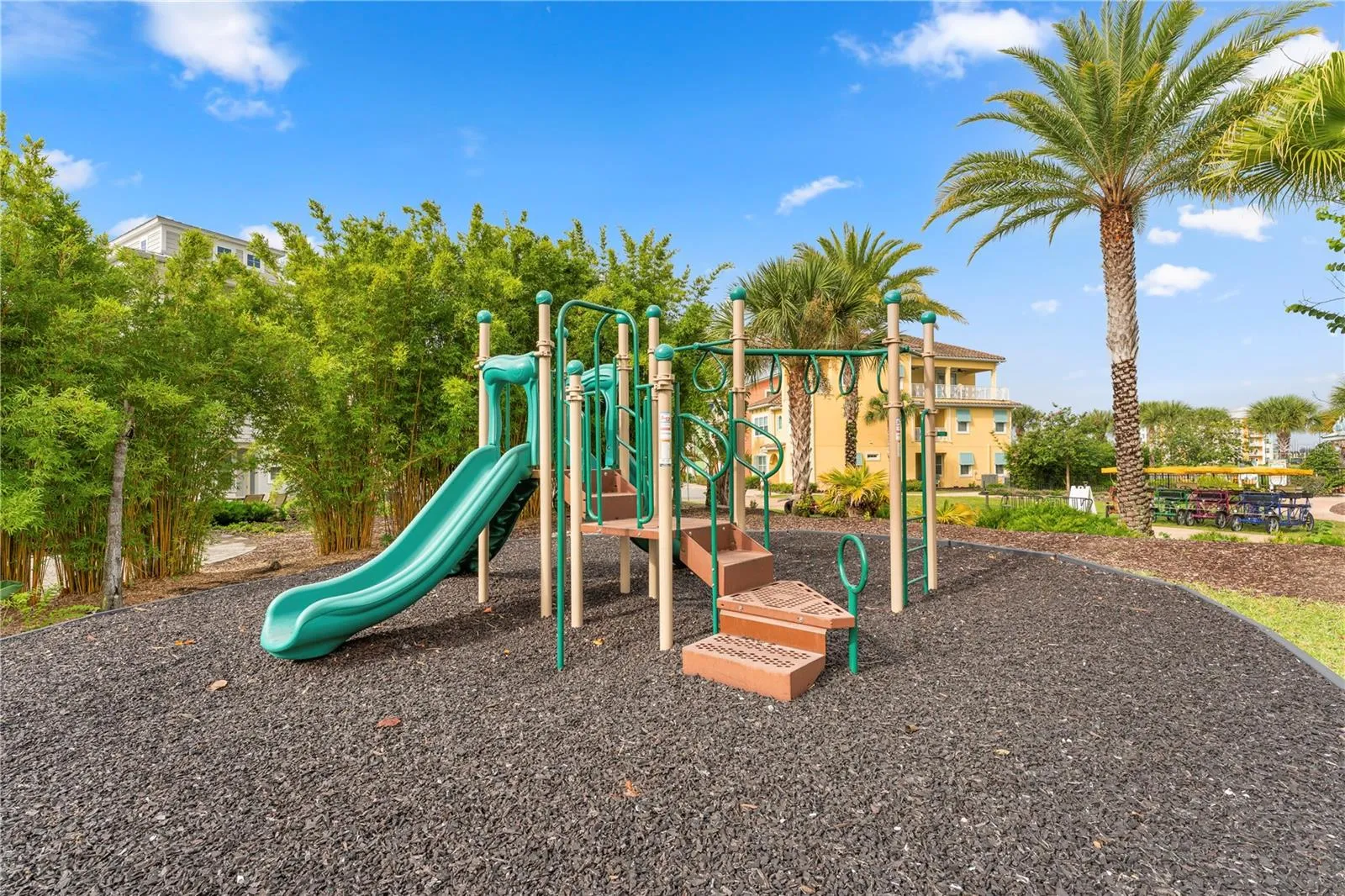 Fins Up Club Amenities