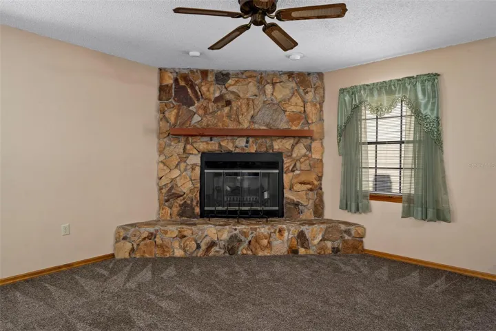 Wood Burning and Electric Fireplace