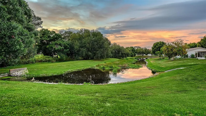 Pond Sunset