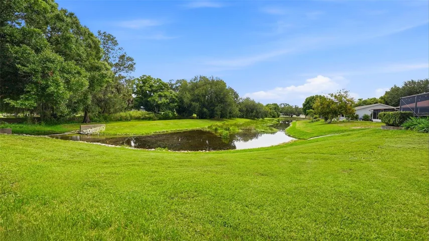Pond Day