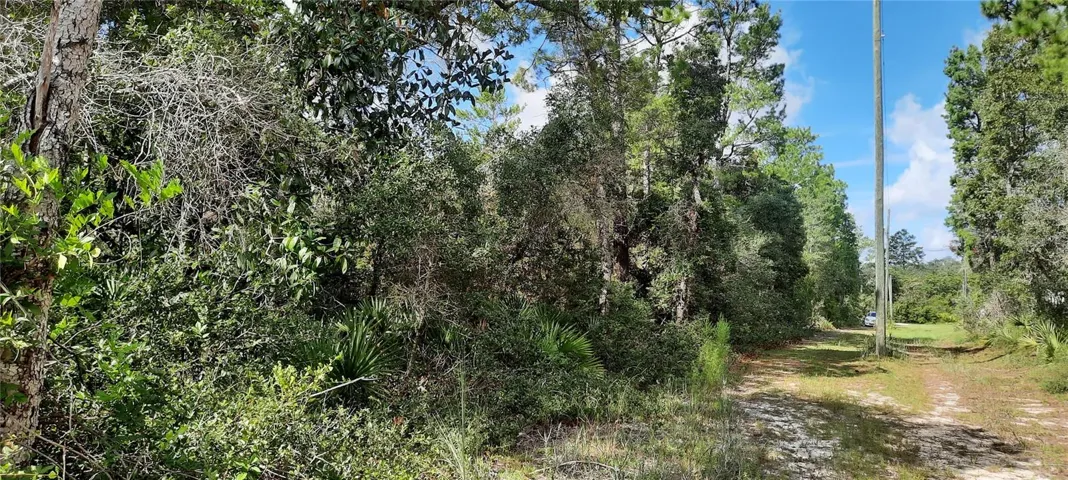 Clear Access to Lot